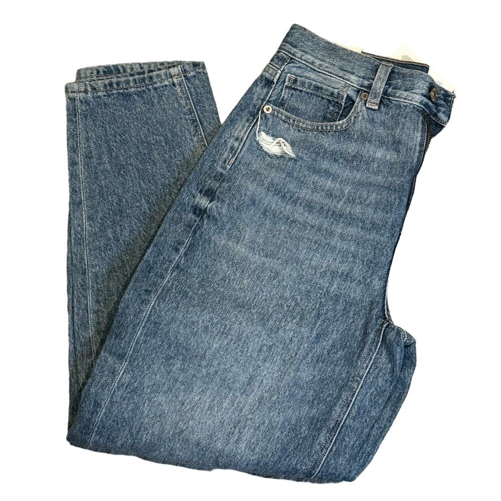 American Eagle NWT Relaxed Mom Jean Size 2/26W